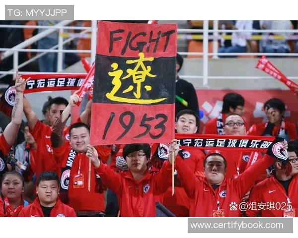 南京足球队状态变革引发热议球迷期待新篇章的崛起与挑战