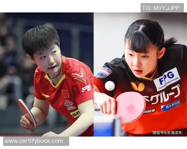 杭州乒乓球队的奋斗历程与挑战赛背后的故事揭秘