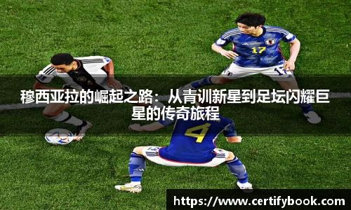 JN江南体育官网