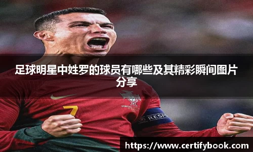 JN江南体育官网